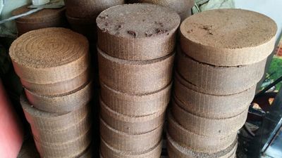 液壓榨油機(jī)油餅的效益如何？